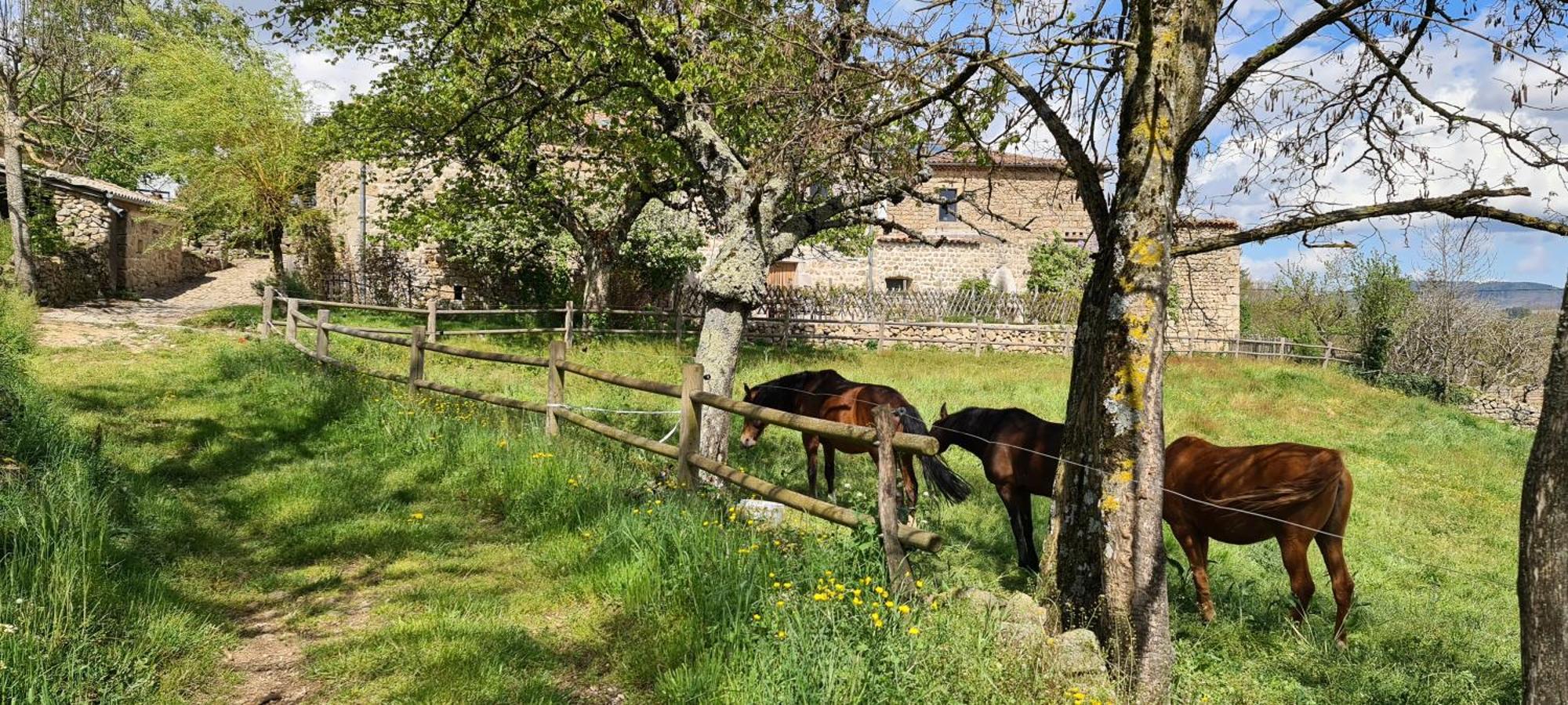 Gites Domaine De Silhac Ardeche Екстериор снимка